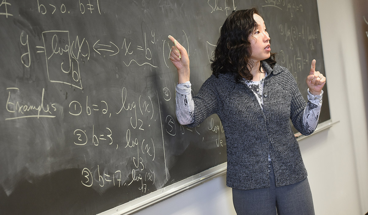 A professor teaching a math course